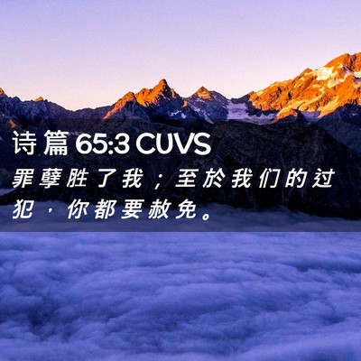 Picture 02 - 诗 篇 65:3 CUVS - 罪 孽 胜 了 我 ； 至 於 我 们 的 过 - Bible Verse Picture