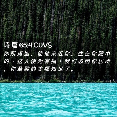 Picture 02 - 诗 篇 65:4 CUVS - 你 所 拣 选 、 使 他 亲 近 你 、 住 - Bible Verse Picture