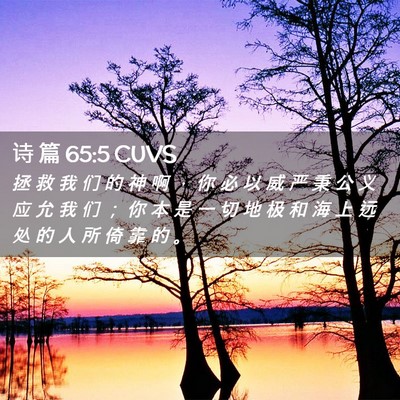 Picture 02 - 诗 篇 65:5 CUVS - 拯 救 我 们 的 神 啊 ， 你 必 以 威 - Bible Verse Picture