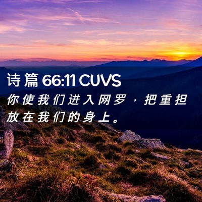 Picture 02 - 诗 篇 66:11 CUVS - 你 使 我 们 进 入 网 罗 ， 把 重 担 - Bible Verse Picture