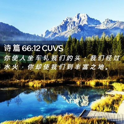 Picture 02 - 诗 篇 66:12 CUVS - 你 使 人 坐 车 轧 我 们 的 头 ； 我 - Bible Verse Picture