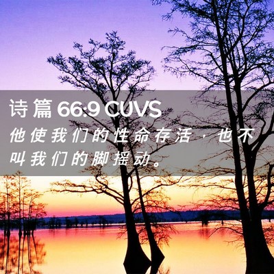 Picture 02 - 诗 篇 66:9 CUVS - 他 使 我 们 的 性 命 存 活 ， 也 不 - Bible Verse Picture