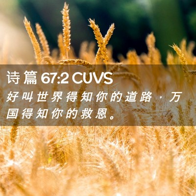 Picture 02 - 诗 篇 67:2 CUVS - 好 叫 世 界 得 知 你 的 道 路 ， 万 - Bible Verse Picture