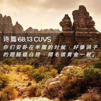 Picture 02 - 诗 篇 68:13 CUVS - 你 们 安 卧 在 羊 圈 的 时 候 ， 好 - Bible Verse Picture
