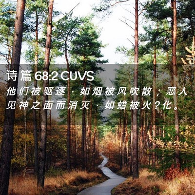 Picture 02 - 诗 篇 68:2 CUVS - 他 们 被 驱 逐 ， 如 烟 被 风 吹 散 - Bible Verse Picture