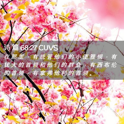 Picture 02 - 诗 篇 68:27 CUVS - 在 那 里 ， 有 统 管 他 们 的 小 便 - Bible Verse Picture