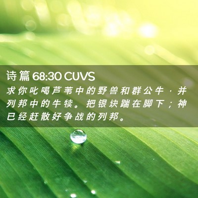 Picture 02 - 诗 篇 68:30 CUVS - 求 你 叱 喝 芦 苇 中 的 野 兽 和 群 - Bible Verse Picture