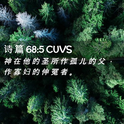 Picture 02 - 诗 篇 68:5 CUVS - 神 在 他 的 圣 所 作 孤 儿 的 父 ， - Bible Verse Picture