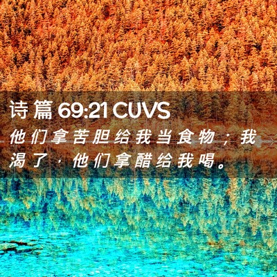 Picture 02 - 诗 篇 69:21 CUVS - 他 们 拿 苦 胆 给 我 当 食 物 ； 我 - Bible Verse Picture