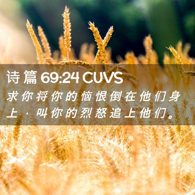 Picture 02 - 诗 篇 69:24 CUVS - 求 你 将 你 的 恼 恨 倒 在 他 们 身 - Bible Verse Picture