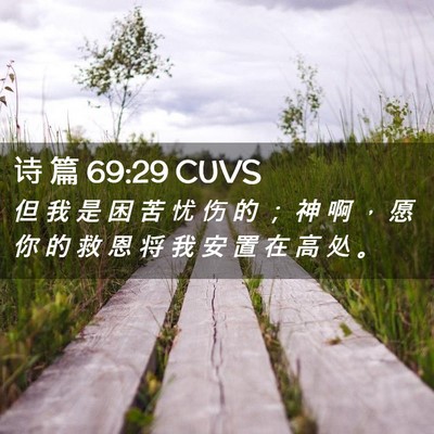 Picture 02 - 诗 篇 69:29 CUVS - 但 我 是 困 苦 忧 伤 的 ； 神 啊 ， - Bible Verse Picture