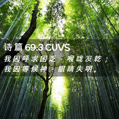 Picture 02 - 诗 篇 69:3 CUVS - 我 因 呼 求 困 乏 ， 喉 咙 发 乾 ； - Bible Verse Picture