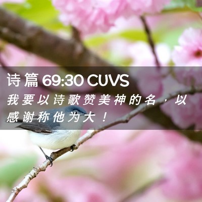 Picture 02 - 诗 篇 69:30 CUVS - 我 要 以 诗 歌 赞 美 神 的 名 ， 以 - Bible Verse Picture
