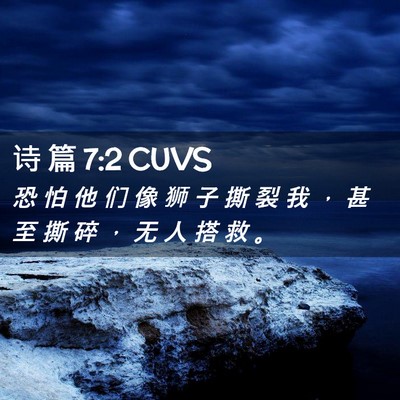 Picture 02 - 诗 篇 7:2 CUVS - 恐 怕 他 们 像 狮 子 撕 裂 我 ， 甚 - Bible Verse Picture