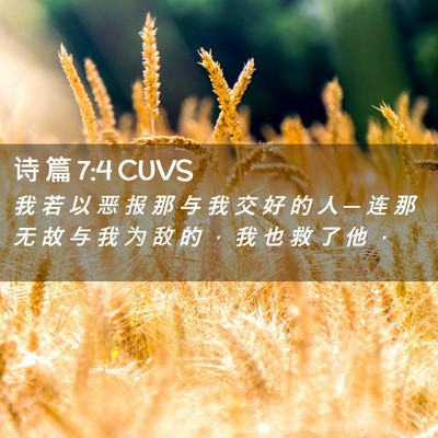 Picture 02 - 诗 篇 7:4 CUVS - 我 若 以 恶 报 那 与 我 交 好 的 人 - Bible Verse Picture