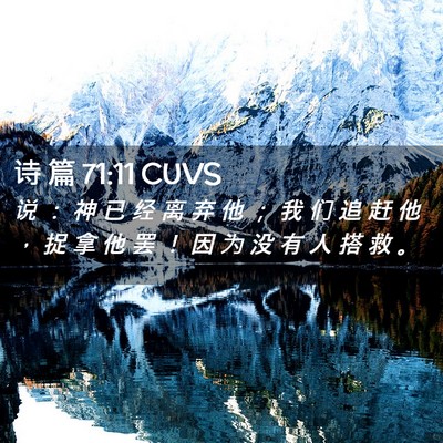 Picture 02 - 诗 篇 71:11 CUVS - 说 ： 神 已 经 离 弃 他 ； 我 们 追 - Bible Verse Picture