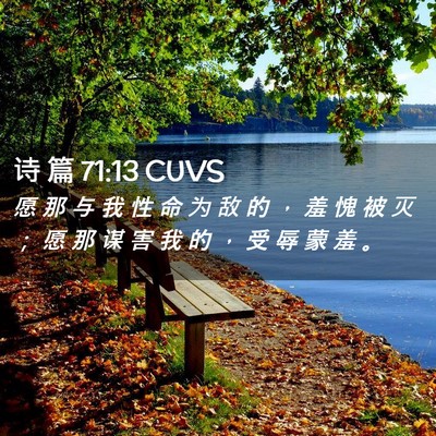 Picture 02 - 诗 篇 71:13 CUVS - 愿 那 与 我 性 命 为 敌 的 ， 羞 愧 - Bible Verse Picture