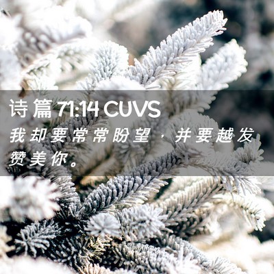 Picture 02 - 诗 篇 71:14 CUVS - 我 却 要 常 常 盼 望 ， 并 要 越 发 - Bible Verse Picture