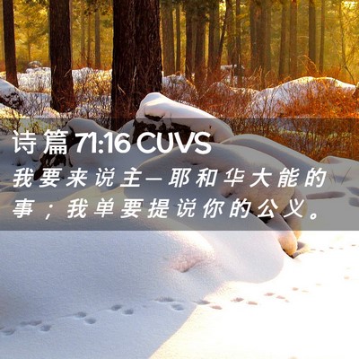 Picture 02 - 诗 篇 71:16 CUVS - 我 要 来 说 主 ─ 耶 和 华 大 能 的 - Bible Verse Picture
