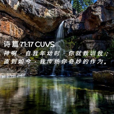 Picture 02 - 诗 篇 71:17 CUVS - 神 啊 ， 自 我 年 幼 时 ， 你 就 教 - Bible Verse Picture
