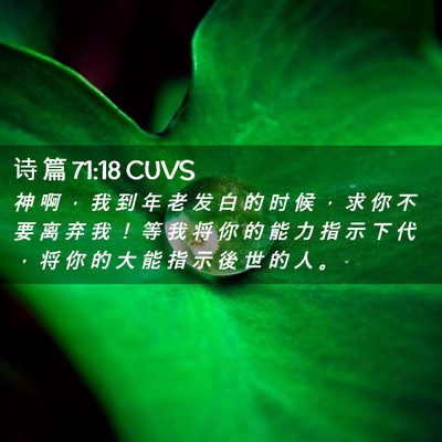 Picture 02 - 诗 篇 71:18 CUVS - 神 啊 ， 我 到 年 老 发 白 的 时 候 - Bible Verse Picture