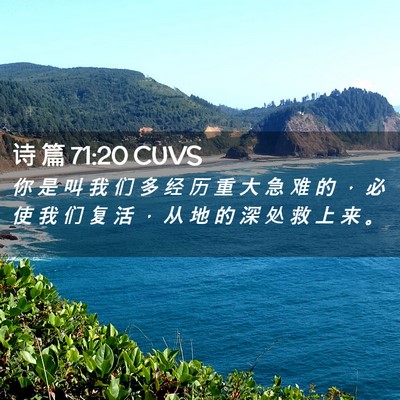 Picture 02 - 诗 篇 71:20 CUVS - 你 是 叫 我 们 多 经 历 重 大 急 难 - Bible Verse Picture