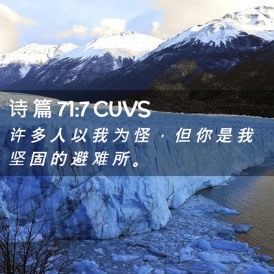 Picture 02 - 诗 篇 71:7 CUVS - 许 多 人 以 我 为 怪 ， 但 你 是 我 - Bible Verse Picture