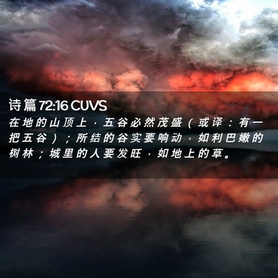 Picture 02 - 诗 篇 72:16 CUVS - 在 地 的 山 顶 上 ， 五 谷 必 然 茂 - Bible Verse Picture