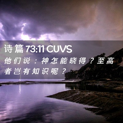 Picture 02 - 诗 篇 73:11 CUVS - 他 们 说 ： 神 怎 能 晓 得 ？ 至 高 - Bible Verse Picture