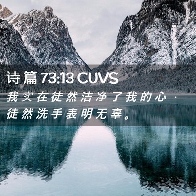 Picture 02 - 诗 篇 73:13 CUVS - 我 实 在 徒 然 洁 净 了 我 的 心 ， - Bible Verse Picture