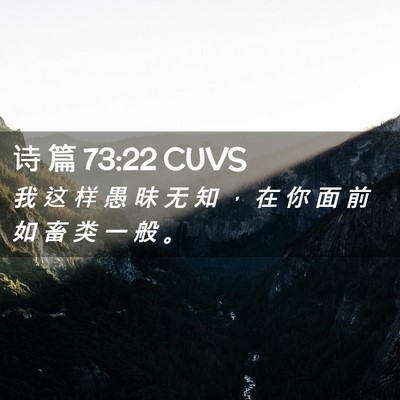 Picture 02 - 诗 篇 73:22 CUVS - 我 这 样 愚 昧 无 知 ， 在 你 面 前 - Bible Verse Picture
