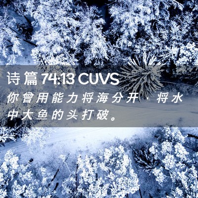 Picture 02 - 诗 篇 74:13 CUVS - 你 曾 用 能 力 将 海 分 开 ， 将 水 - Bible Verse Picture