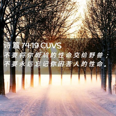 Picture 02 - 诗 篇 74:19 CUVS - 不 要 将 你 斑 鸠 的 性 命 交 给 野 - Bible Verse Picture