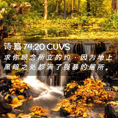 Picture 02 - 诗 篇 74:20 CUVS - 求 你 顾 念 所 立 的 约 ， 因 为 地 - Bible Verse Picture