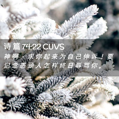 Picture 02 - 诗 篇 74:22 CUVS - 神 啊 ， 求 你 起 来 为 自 己 伸 诉 - Bible Verse Picture