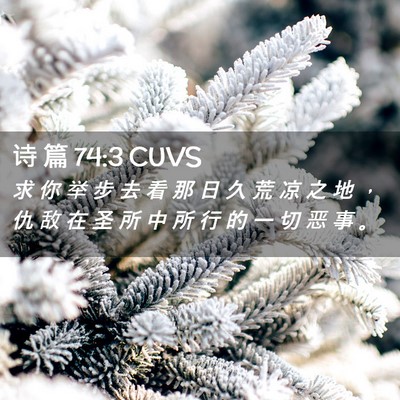 Picture 02 - 诗 篇 74:3 CUVS - 求 你 举 步 去 看 那 日 久 荒 凉 之 - Bible Verse Picture