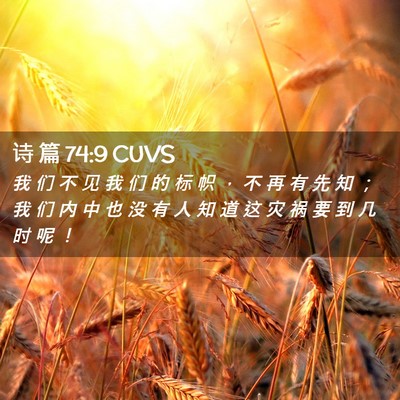 Picture 02 - 诗 篇 74:9 CUVS - 我 们 不 见 我 们 的 标 帜 ， 不 再 - Bible Verse Picture