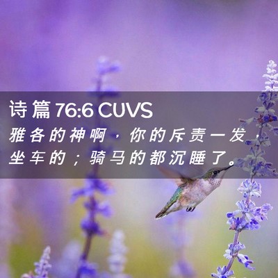 Picture 02 - 诗 篇 76:6 CUVS - 雅 各 的 神 啊 ， 你 的 斥 责 一 发 - Bible Verse Picture