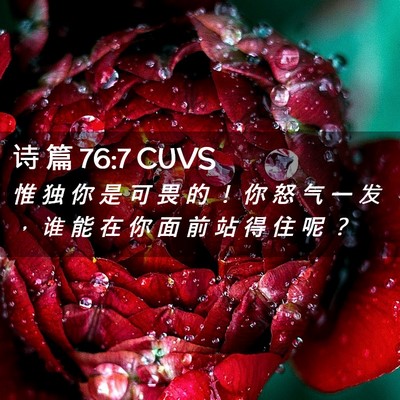 Picture 02 - 诗 篇 76:7 CUVS - 惟 独 你 是 可 畏 的 ！ 你 怒 气 一 - Bible Verse Picture