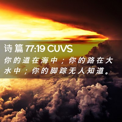 Picture 02 - 诗 篇 77:19 CUVS - 你 的 道 在 海 中 ； 你 的 路 在 大 - Bible Verse Picture