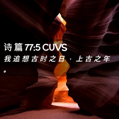 Picture 02 - 诗 篇 77:5 CUVS - 我 追 想 古 时 之 日 ， 上 古 之 年 - Bible Verse Picture