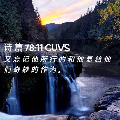 Picture 02 - 诗 篇 78:11 CUVS - 又 忘 记 他 所 行 的 和 他 显 给 他 - Bible Verse Picture