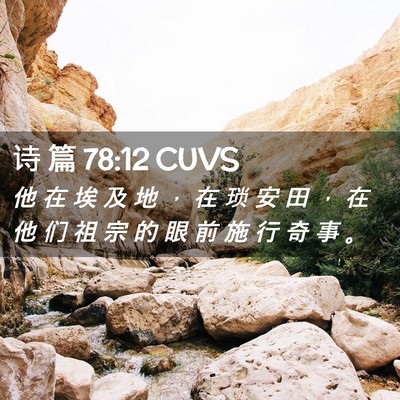 Picture 02 - 诗 篇 78:12 CUVS - 他 在 埃 及 地 ， 在 琐 安 田 ， 在 - Bible Verse Picture