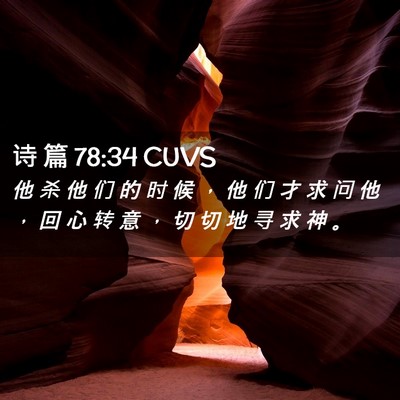 Picture 02 - 诗 篇 78:34 CUVS - 他 杀 他 们 的 时 候 ， 他 们 才 求 - Bible Verse Picture