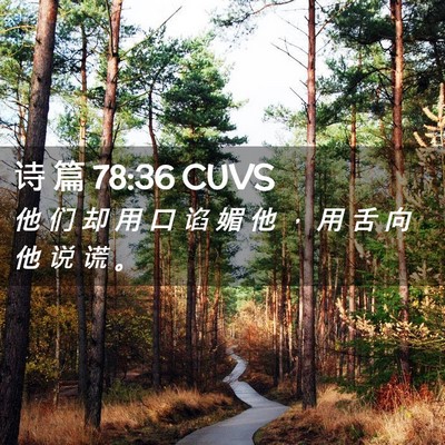 Picture 02 - 诗 篇 78:36 CUVS - 他 们 却 用 口 谄 媚 他 ， 用 舌 向 - Bible Verse Picture