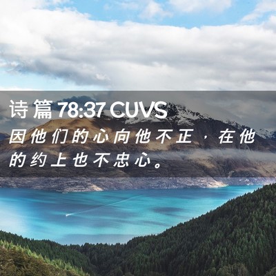 Picture 02 - 诗 篇 78:37 CUVS - 因 他 们 的 心 向 他 不 正 ， 在 他 - Bible Verse Picture
