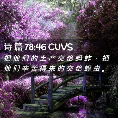 Picture 02 - 诗 篇 78:46 CUVS - 把 他 们 的 土 产 交 给 蚂 蚱 ， 把 - Bible Verse Picture