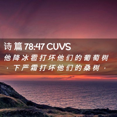 Picture 02 - 诗 篇 78:47 CUVS - 他 降 冰 雹 打 坏 他 们 的 葡 萄 树 - Bible Verse Picture