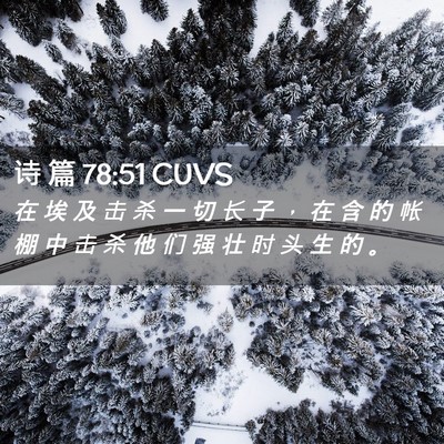 Picture 02 - 诗 篇 78:51 CUVS - 在 埃 及 击 杀 一 切 长 子 ， 在 含 - Bible Verse Picture