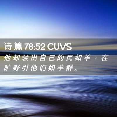 Picture 02 - 诗 篇 78:52 CUVS - 他 却 领 出 自 己 的 民 如 羊 ， 在 - Bible Verse Picture